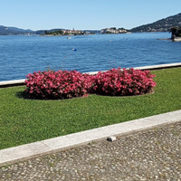 Camera ammobiliata Baveno