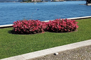 Camera ammobiliata Baveno