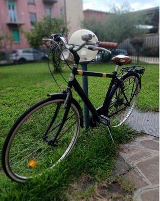 Bicicletta da Uomo