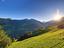Immagine 26