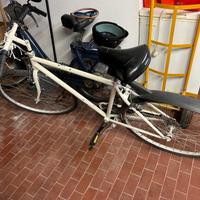 Bicicletta  uomo ruota da 28