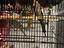 Immagine 3