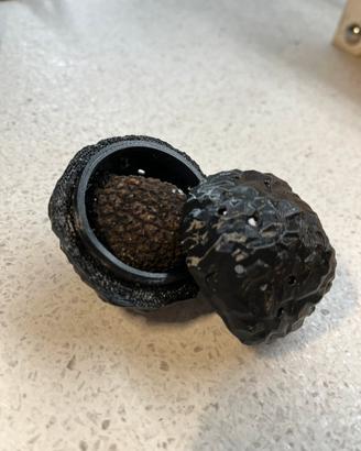 Tartufo Addestramento cani - Stampa3D - L / XL