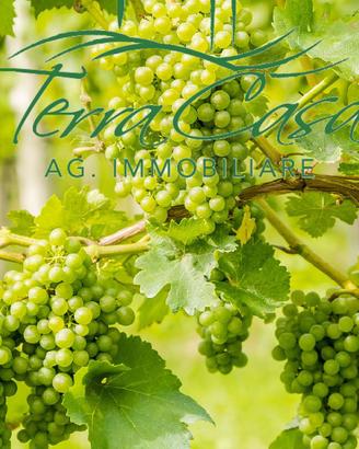 Terreno Agricolo a San Donà di Piave - Opportunit