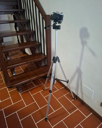 Cavalletto