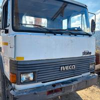 Camion con gru macchina operatrice