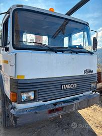 Camion con gru macchina operatrice