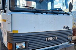 Camion con gru macchina operatrice