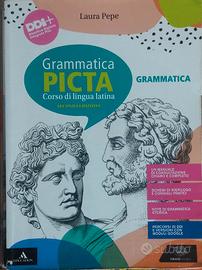 Grammatica Picta