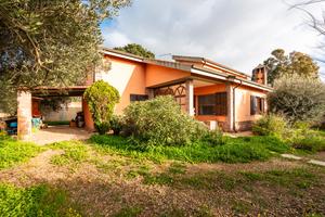 Casa indipendente con terreno di proprietà