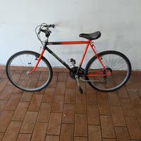 Vecchia Mountain bike da revisionare