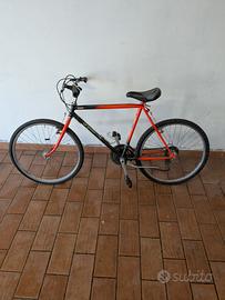Vecchia Mountain bike da revisionare