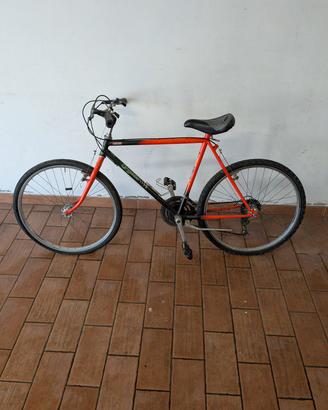 Vecchia Mountain bike da revisionare