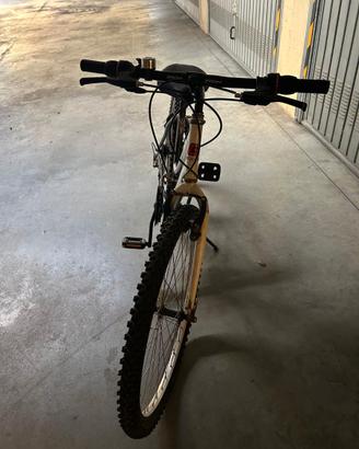 Bicicletta con cambio mountain bike 24 ruota