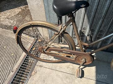 Bici da donna da 26