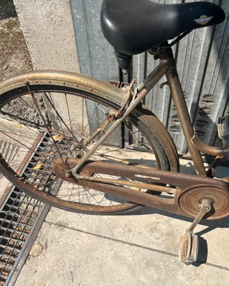 Bici da donna da 26