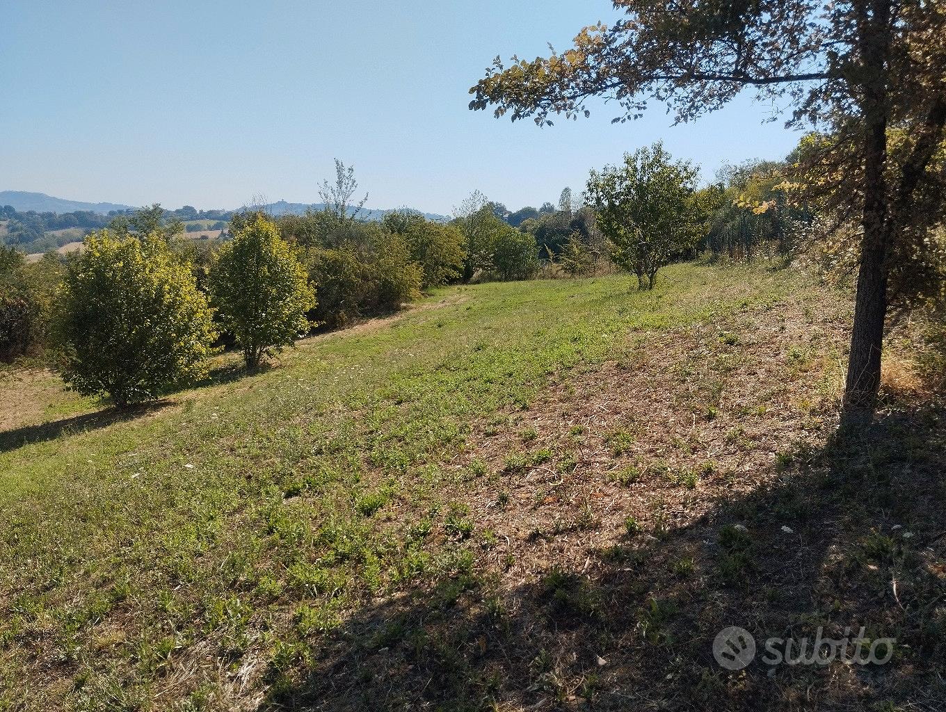Terreno agricolo panoramico - Altro