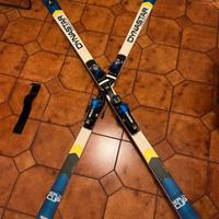 Sci Dynastar di Elena Fanchini