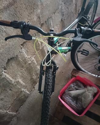 bici bici