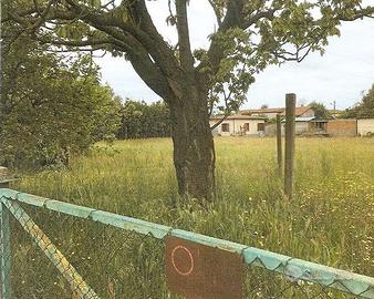 Fabbricato + terreno