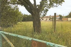 Fabbricato + terreno