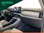 Immagine 13