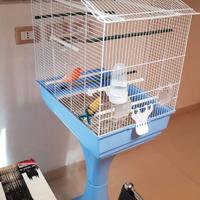 Elegante gabbia per uccelli con piedistallo