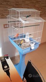 Elegante gabbia per uccelli con piedistallo