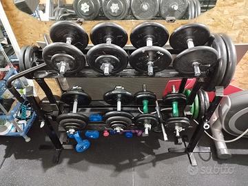 manubri palestra 