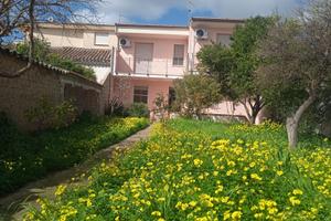 Terralba vicinanze oristanese costa verde sinis