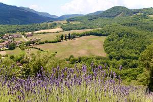Terreno agricolo