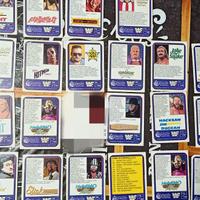 carte wrestling Merlin 1991 WWF