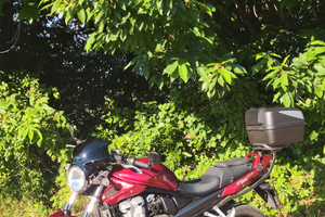 Suzuki GSF Bandit 650 N K8