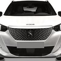 Ricambi per peugeot 2008 anno 2019-2021