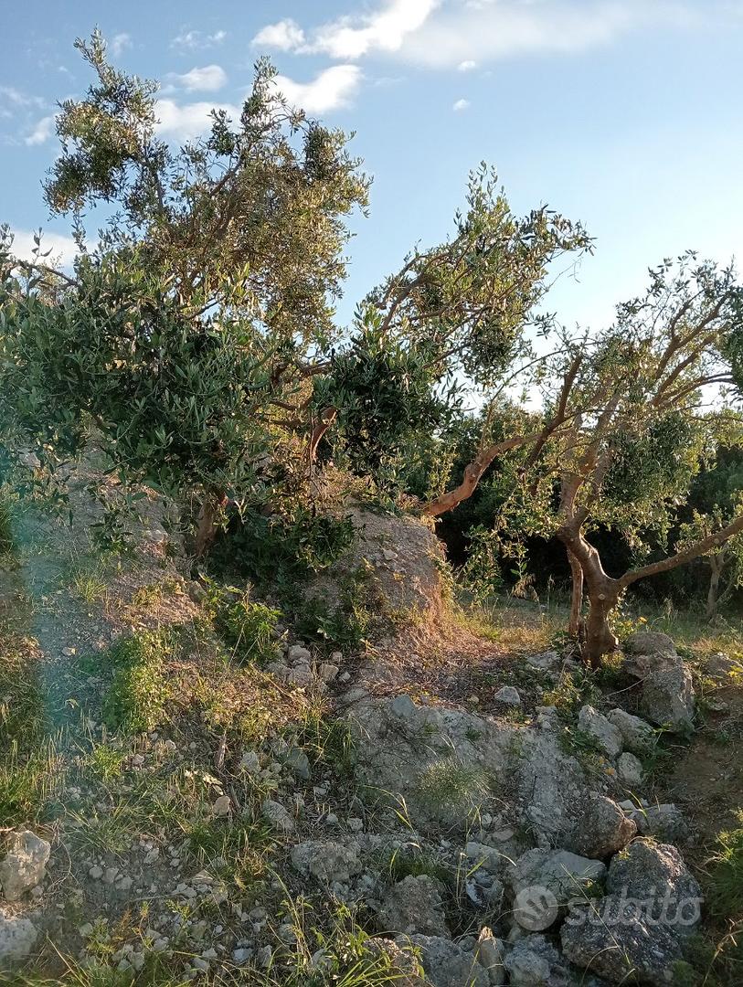 Vendita terreno - Vista 5