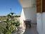 Immagine 29