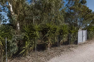 Terreno recintato a Porto Cesareo