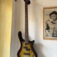 Basso elettrico Washburn T14