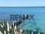 Immagine 14