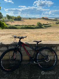 Bottecchia Sport Concept