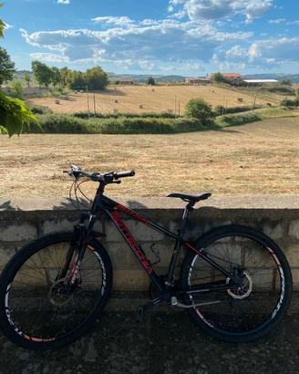 Bottecchia Sport Concept