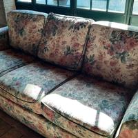 Si offre gratuitamente