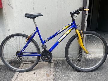 Bicicletta