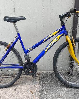 Bicicletta