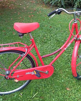 Bicicletta da Donna HOLLAND