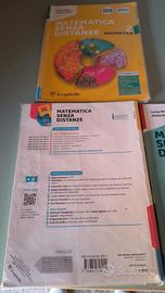 matematica senza distanze volume 2
