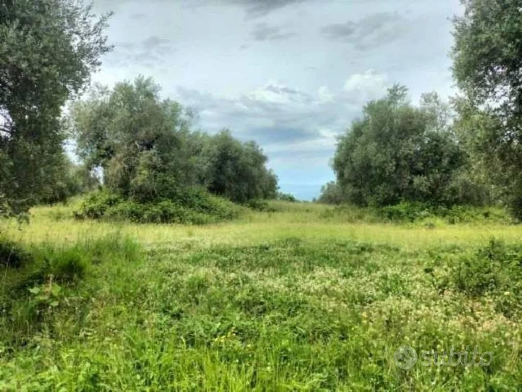 Immobile in asta di 23396 m² a Ficulle - Altro
