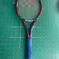 racchetta tecnifibre 295