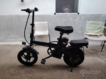 bici elettrica 250w 