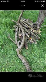 Rami  di legna secca e verde…